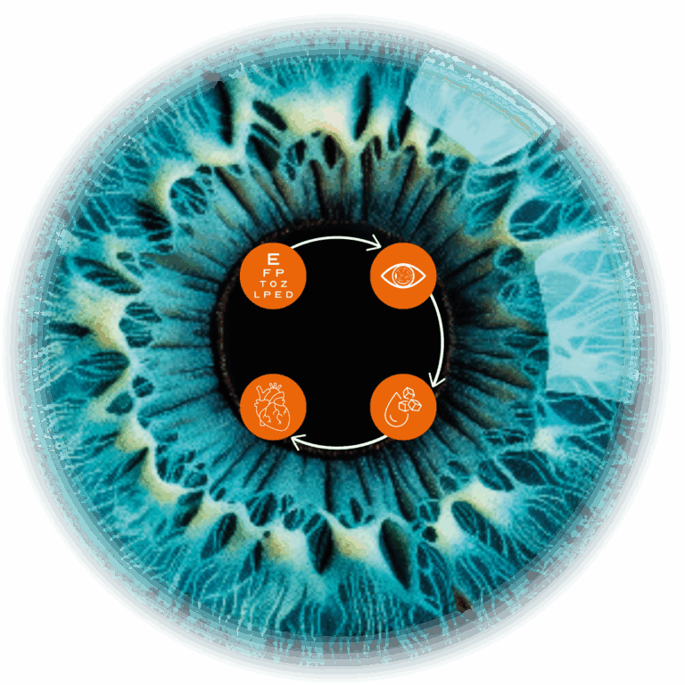 die Netzhaut liefert wichtige Informationen über Deine Augengesundheit
