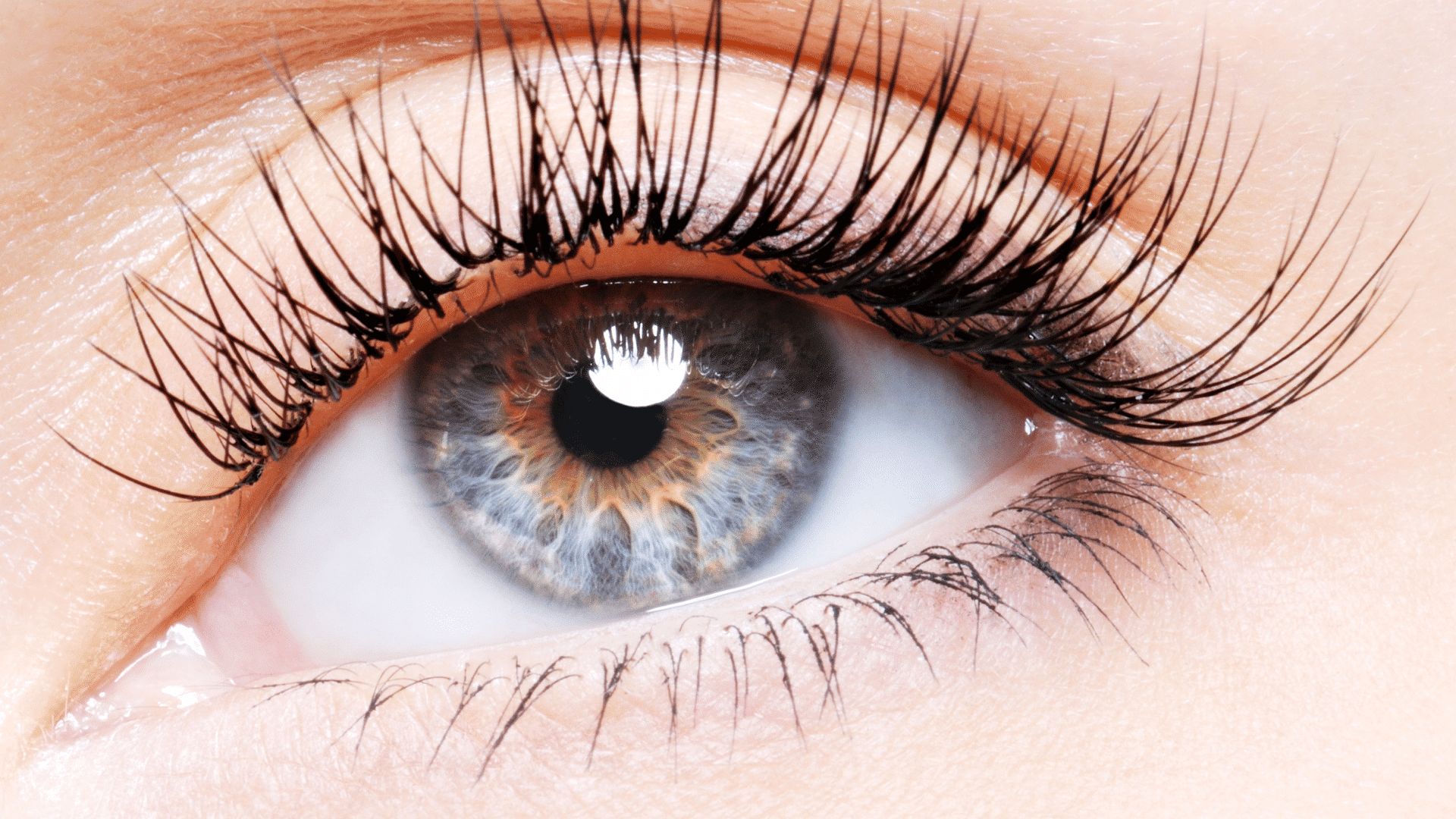 Schütt Optik Hörakustik Hörgeräte Augengesundheit Glossar