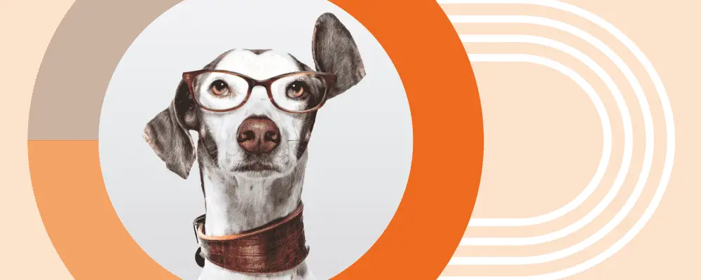 Schütt Optik Hörakustik Ludwigsburg Kostenloser Hörtest 2024 Titel