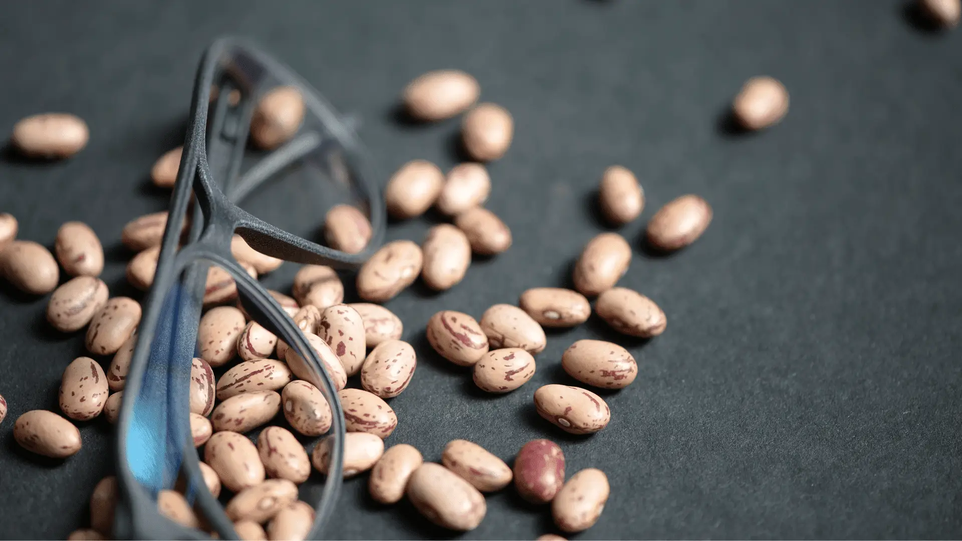 Schütt Optik Hörakustik Ludwigsburg Rolf Substance Bohnenbrillen vegan