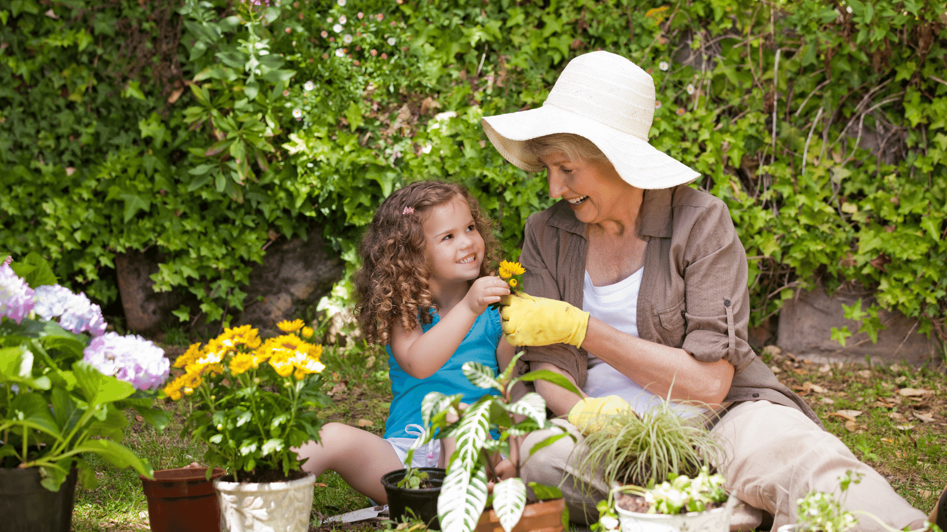 Schütt Optik Hörakustik Ludwigsburg Kassenhörgeräte Titel