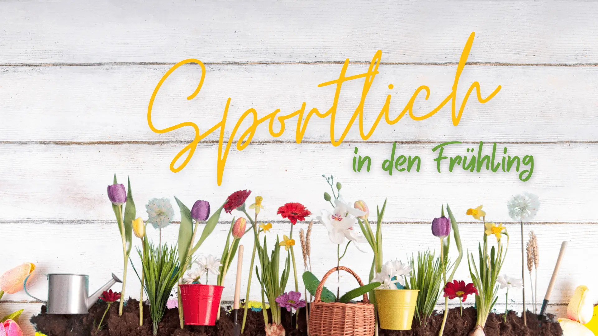 Schütt Optik Hörakustik Ludwigsburg sportbrillen-aktion