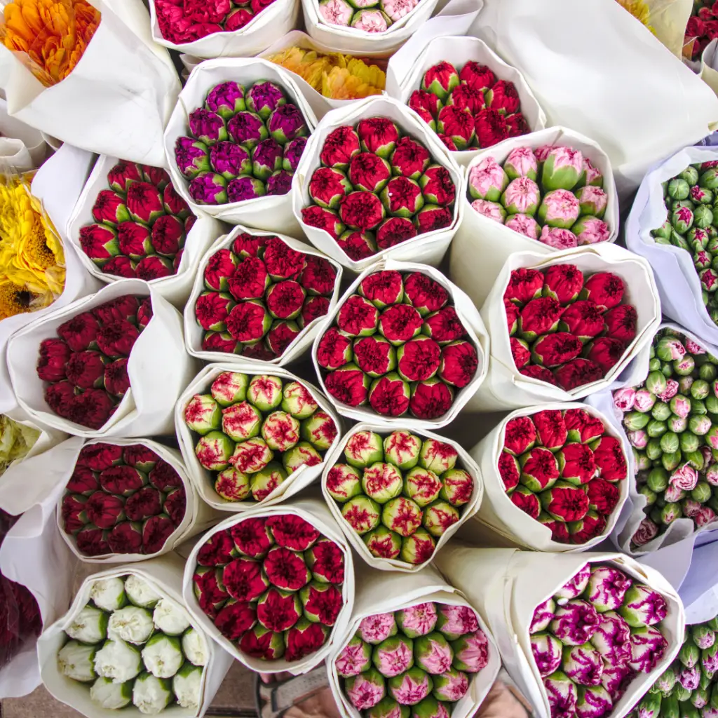 Schuett Optik Ludwigsburg neue Öffnungszeiten Schütt das Beste